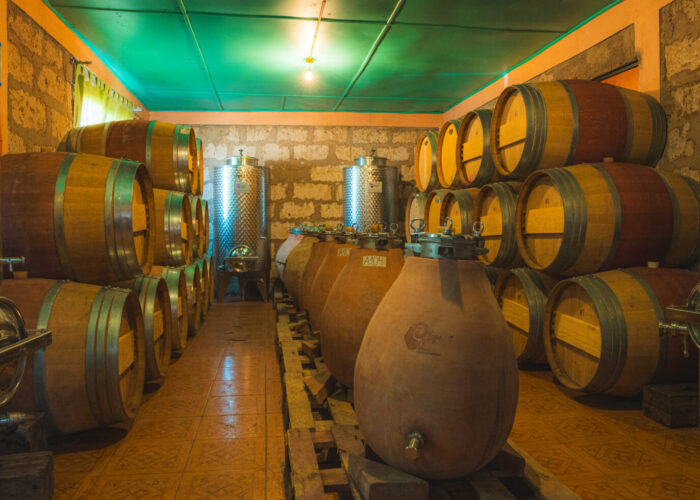 Cielo y Tierra Tours Atacama | Ruta del Vino de Atacama