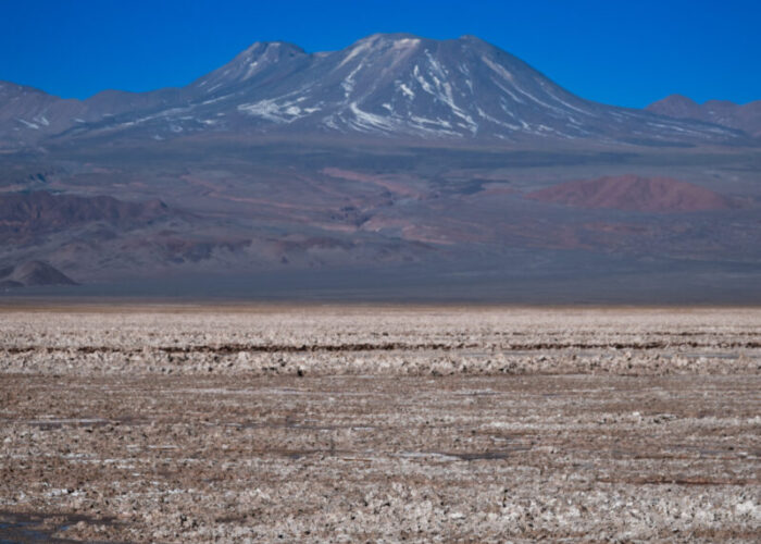 Laguna Chaxa - Cielo y Tierra Atacama Tours