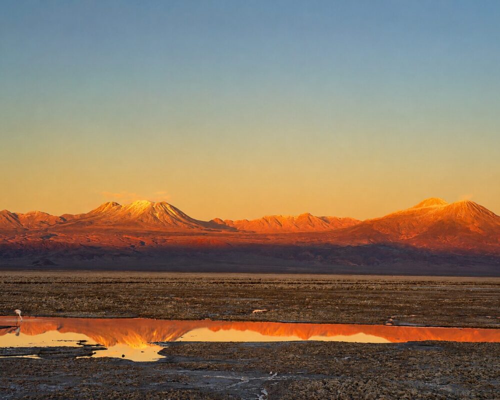Laguna Chaxa - Cielo y Tierra Atacama Tours