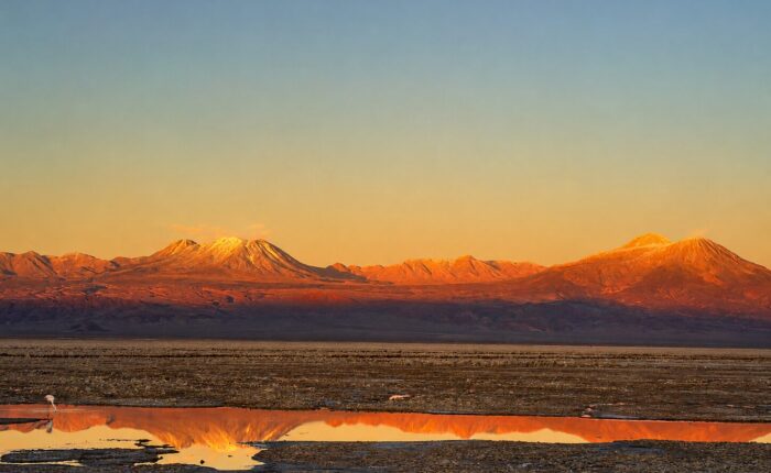 Laguna Chaxa - Cielo y Tierra Atacama Tours