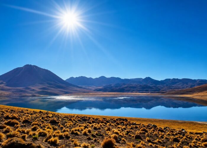 Cielo y Tierra Atacama Tours Miscanti y Miñiques