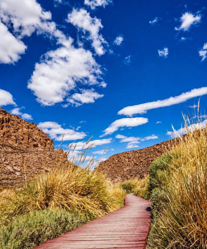 Termas de Puritama Cielo y Tierra Atacama Tours