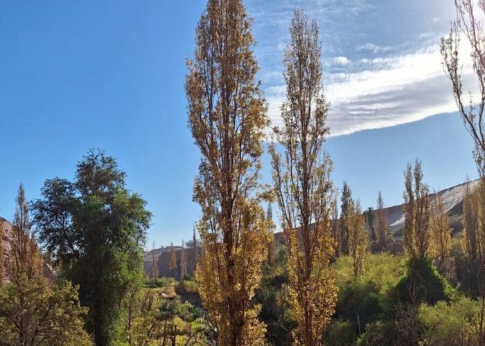Cielo y Tierra Atacama Tours Valle de Jere