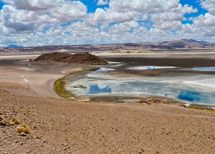 Ruta de los Salares - Cielo y Tierra Atacama Tours