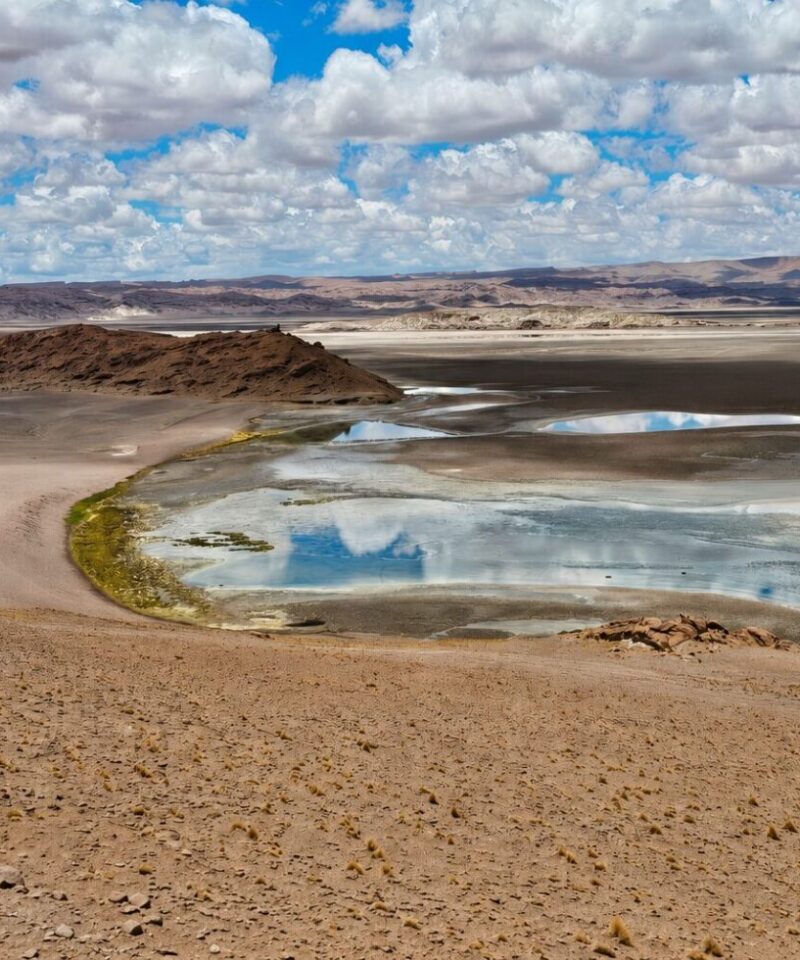 Ruta de los Salares - Cielo y Tierra Atacama Tours