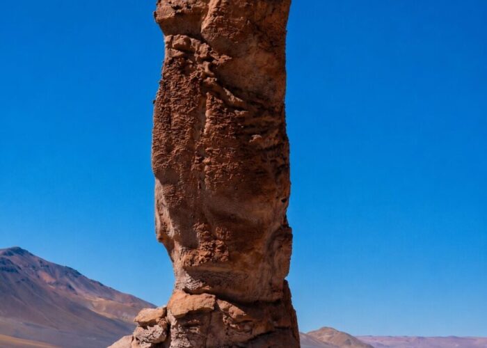 Ruta de los Salares - Cielo y Tierra Atacama Tours